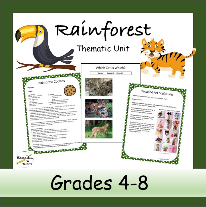 Learn All About The Rainforest
